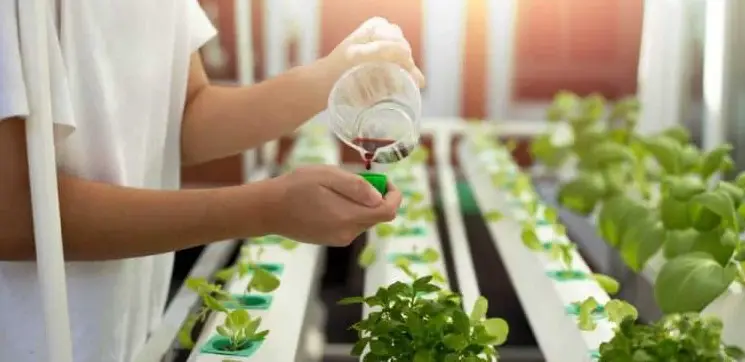 Can hydroponic nutrients go bad?