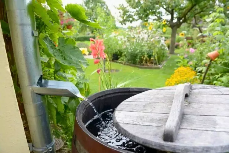 What To Do With A Natural Spring On Your Property? Easy Guide